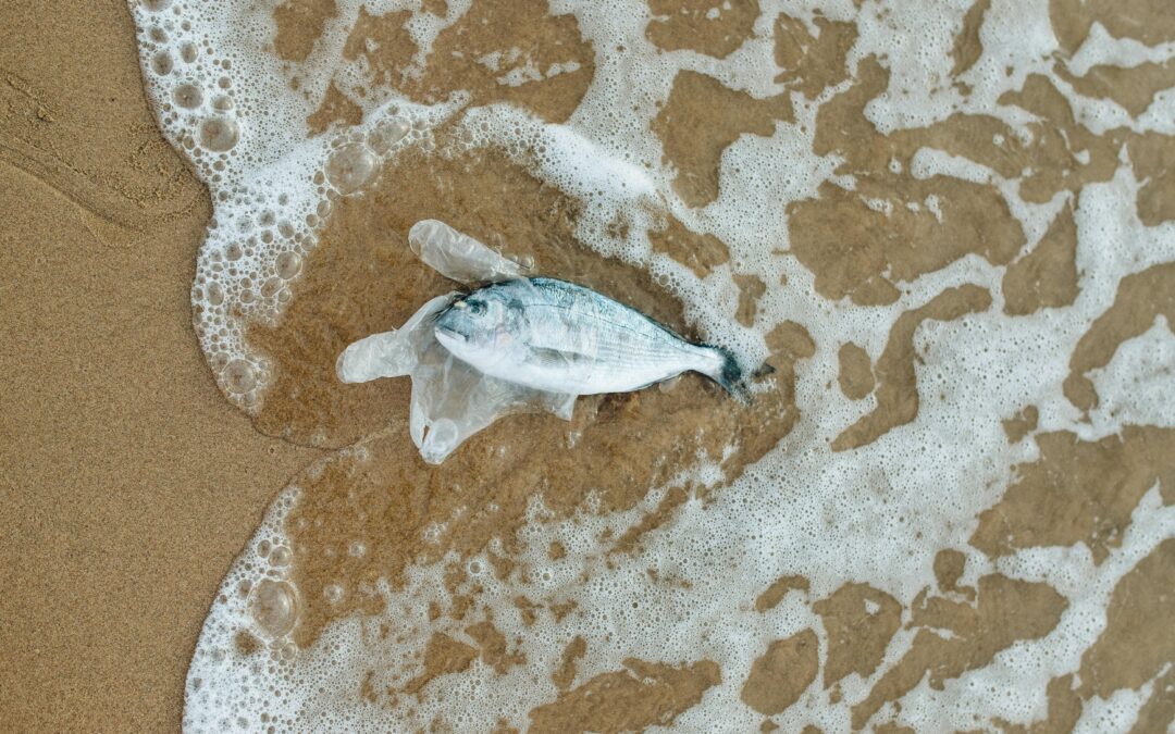 INQUINAMENTO MEDITERRANEO E MACROREGIONE MEDITERRANEA