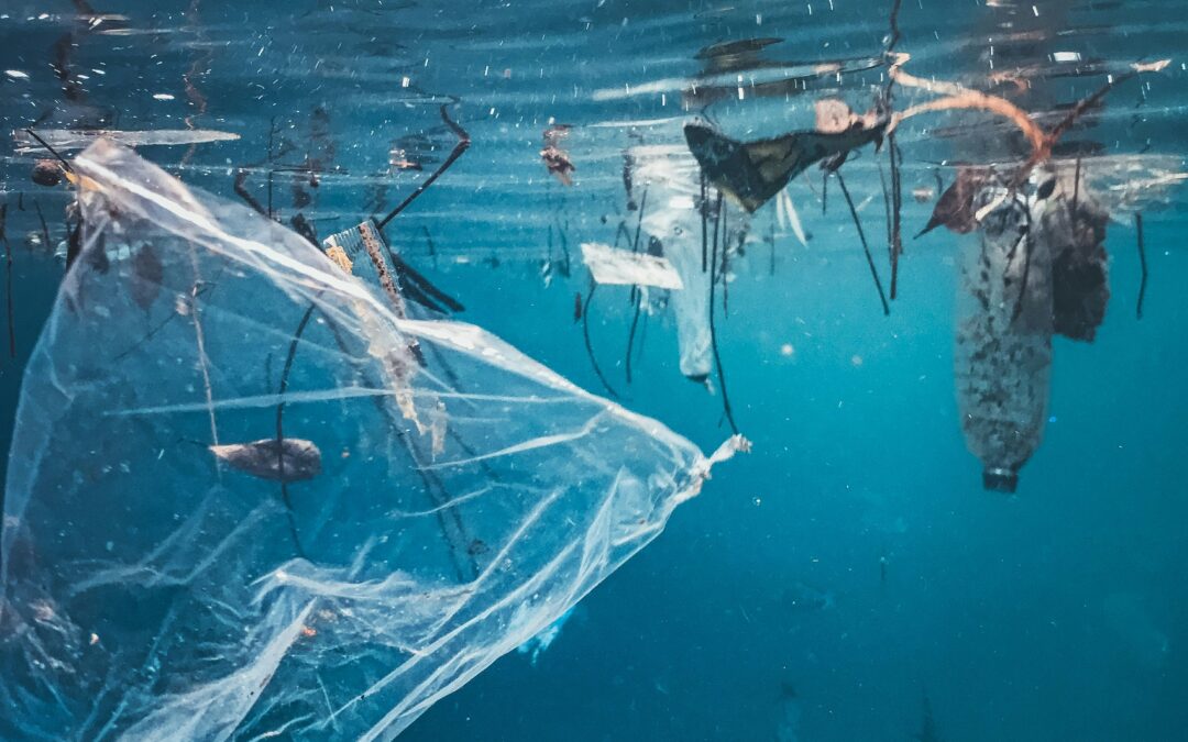 INQUINAMENTO DELLA PLASTICA DEL MAR MEDITERRANEO