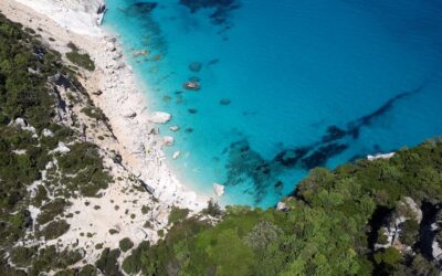 POLITICHE MEDITERRANEE GREEN: IL QUADRO GLOBALE INTEGRATO DELLA MACROREGIONE MEDITERRANEA