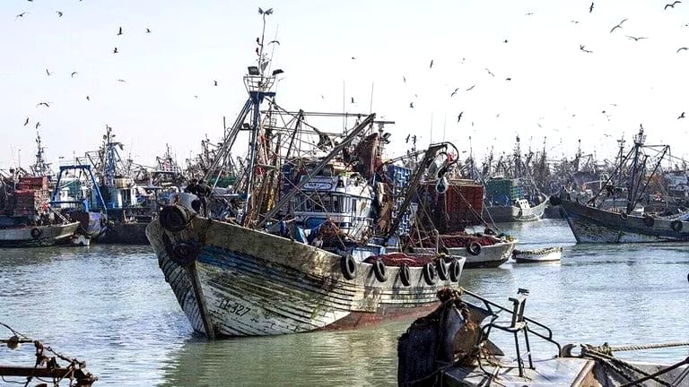 MARE MEDITERRANEO: AUMENTA IL VALORE DELLE CATTURE IN MAROCCO MA VI  E’ FORTE MORIA DI PESCI IN GRECIA. URGENTE L’IMPLEMENTATION DEL PRIMO PILASTRO