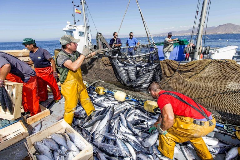 DAL MAR MEDITERRANEO: APPROVARE SUBITO LA STRATEGIA