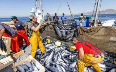 IMPLEMENTATION DEL PRIMO PILASTRO PER CONTINUARE A PESCARE NEL MEDITERRANEO