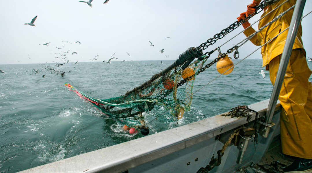 NUOVE REGOLA DI PESCA PER IL MEDITERRANEO