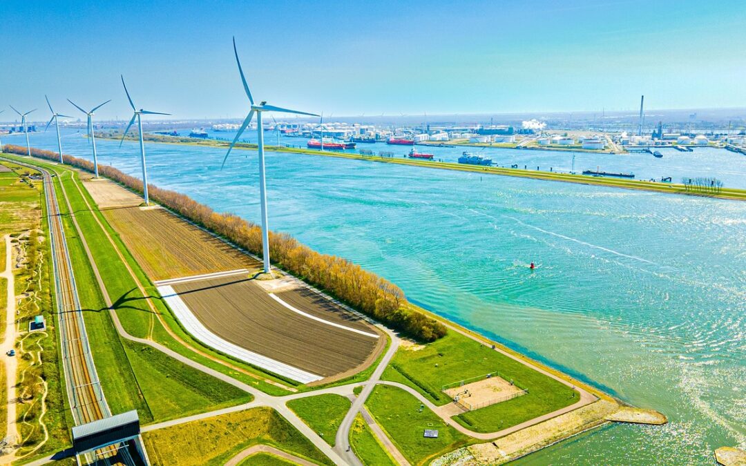 ENERGIA EOLICA E AMBIENTE: ANCHE GLI STUDI RECENTI DIMOSTRANO CHE LA SOLUZIONE E’ NEL SECONDO PILASTRO
