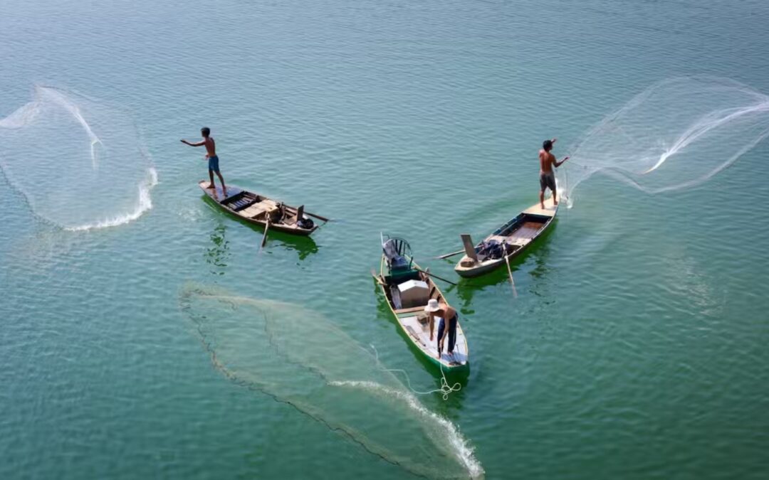 IL MEDITERRANEO CON IL PRIMO PILASTRO FINALMENTE VERSO UN EQUILIBRIO TRA PESCA SOSTENIBILE E SICUREZZA ALIMENTARE