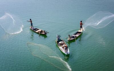 IL MEDITERRANEO CON IL PRIMO PILASTRO FINALMENTE VERSO UN EQUILIBRIO TRA PESCA SOSTENIBILE E SICUREZZA ALIMENTARE