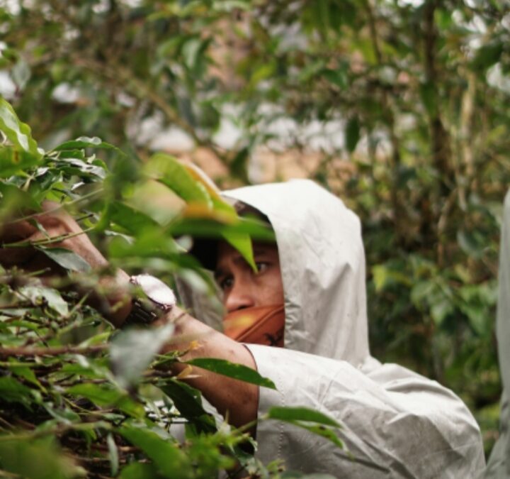 LA TUTELA DEI LAVORATORI AGRICOLI NEL MEDITERRANEO: UNA PRIORITÀ STRATEGICA