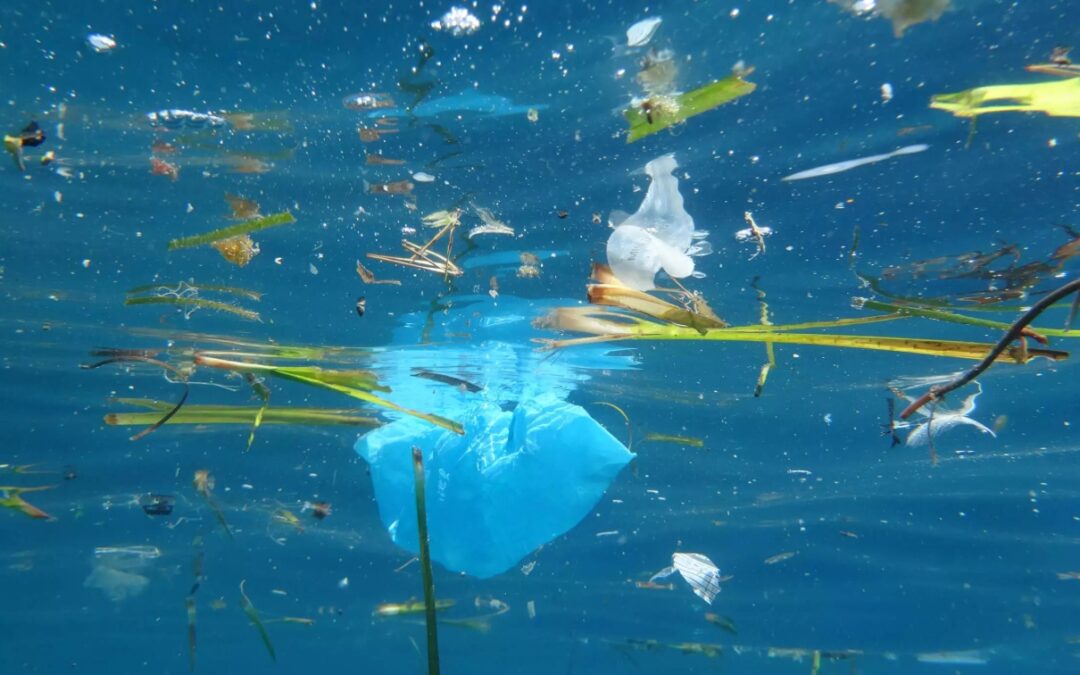 CON L’IMPLEMENTATION DEL PRIMO PILASTRO SALVARE IL CUORE AZZURRO DEL MEDITERRANEO: PERCHÉ DOBBIAMO RIPENSARE IL TURISMO COSTIERO ADESSO