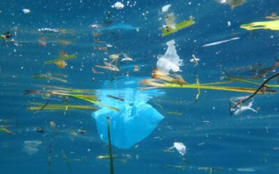 CON L’IMPLEMENTATION DEL PRIMO PILASTRO SALVARE IL CUORE AZZURRO DEL MEDITERRANEO: PERCHÉ DOBBIAMO RIPENSARE IL TURISMO COSTIERO ADESSO