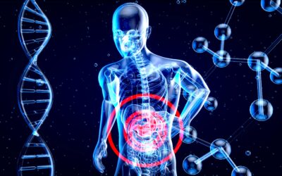 MACROREGIONE MEDITERRANEA: L’APPROVAZIONE DELLA STRATEGIA COME SCUDO DIGITALE E SANITARIO