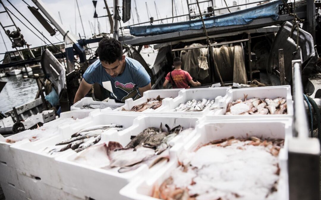L’UE E I PAESI VICINI DEL MEDITERRANEO SI IMPEGNANO IN UNA NUOVA DICHIARAZIONE PER RICOSTITUIRE GLI STOCK ITTICI