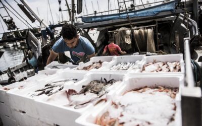 L’UE E I PAESI VICINI DEL MEDITERRANEO SI IMPEGNANO IN UNA NUOVA DICHIARAZIONE PER RICOSTITUIRE GLI STOCK ITTICI
