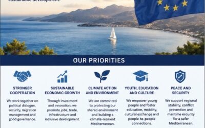 DAL PATTO PER IL MEDITERRANEO VERSO LA STRATEGIA