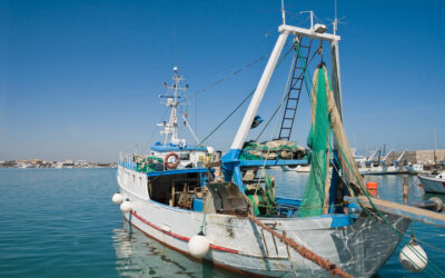 ECONOMIA CIRCOLARE NEL MAR MEDITERRANEO: NUOVE OPPORTUNITÀ PER LA PESCA E L’ACQUACOLTURA